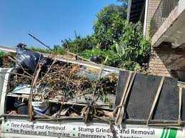 Best Construction Debris Removal  in Butte, AK